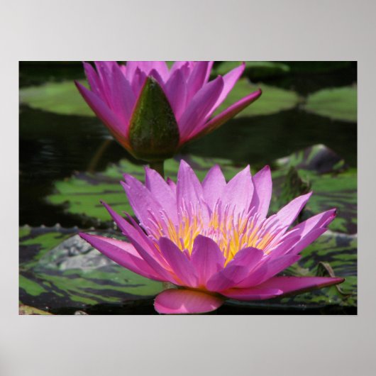 Reflexion Poster (Vorne)