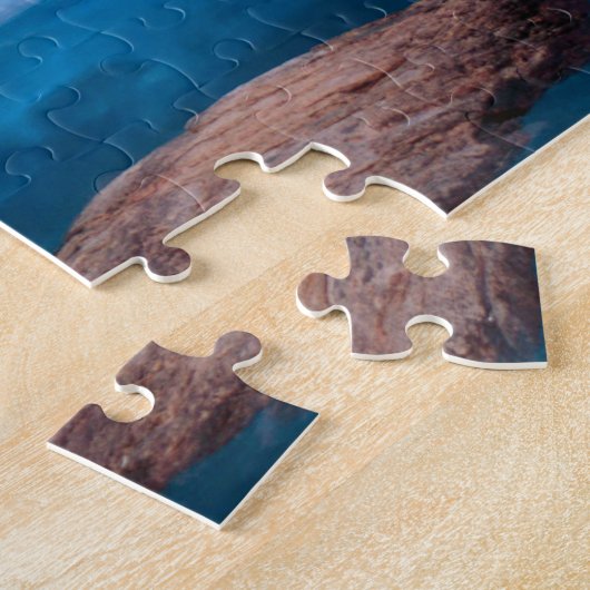 Reflexionen im frühen Abend in den Grenzgewässern Puzzle (Seite)