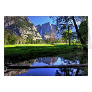 Reflexionen von Fällen