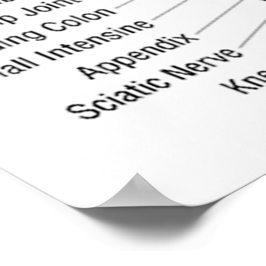 Reflexologie Abbildung 30X40" Poster (Ecke)