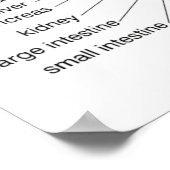 Reflexologie Diagramm 20X30" Poster (Ecke)