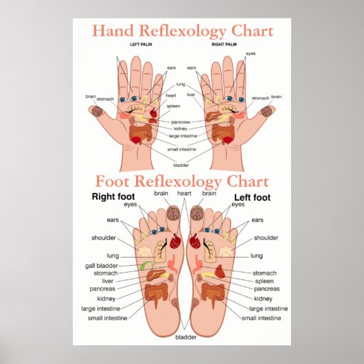 Reflexologie Diagramm 20X30" Poster (Vorne)