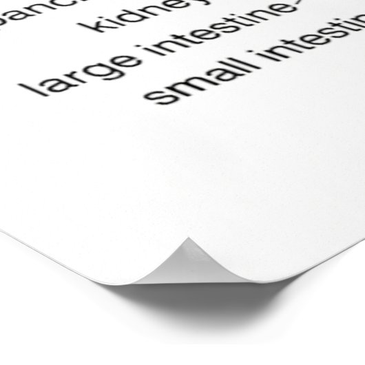 Reflexologie Diagramm 24X36" Poster (Ecke)