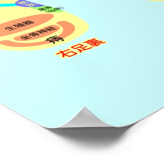 Reflexzonenfußplakat Poster (Ecke)