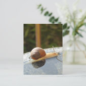 Refreshing Snail Postkarte (Stehend Vorderseite)