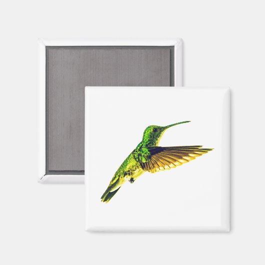 Refrigerator magnet with Plain-bellied Emerald (Vorderseite/Rückseite)