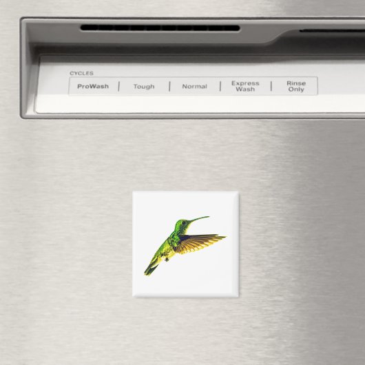 Refrigerator magnet with Plain-bellied Emerald (In Situ (Geschirrspüler))