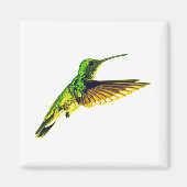 Refrigerator magnet with Plain-bellied Emerald (Vorne)