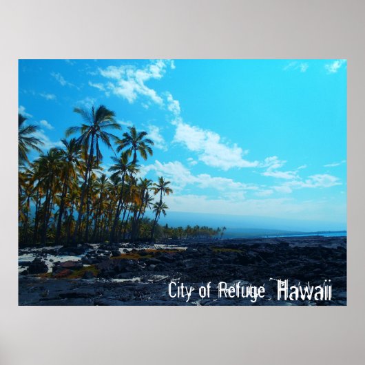 Refuge Big Island Hawaii landschaftliches Poster (Vorne)