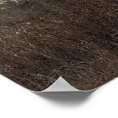 Refugium Frozen Pond Poster (Ecke)