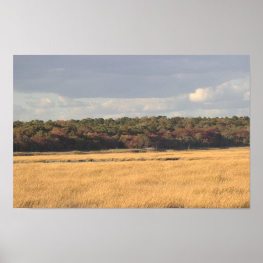 Refugium Landscape Foto Poster (Vorne)