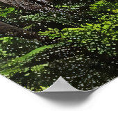 Refugium Poster (Ecke)
