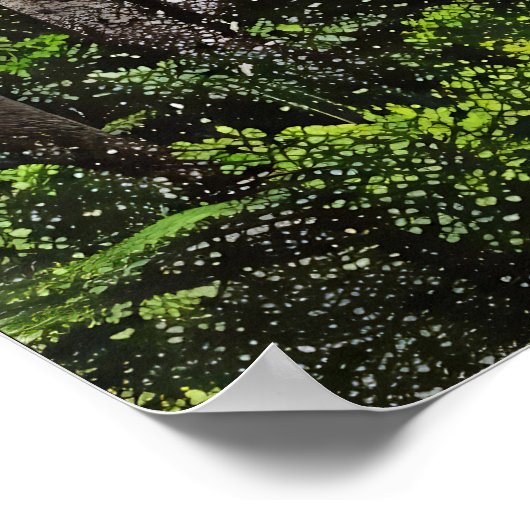 Refugium Poster (Ecke)
