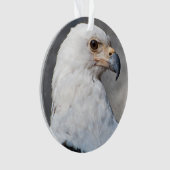 Regal American Bald Eagle Portrait Ornament (Vorderseite)