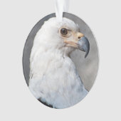 Regal American Bald Eagle Portrait Ornament (Vorderseite)