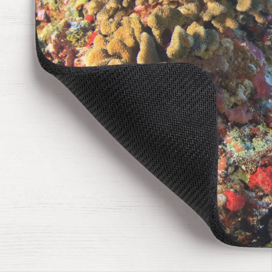 Regal Angelfish Pygoplites diacanthus), Mousepad (Ecke)