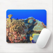 Regal Angelfish Pygoplites diacanthus), Mousepad (Mit Mouse)