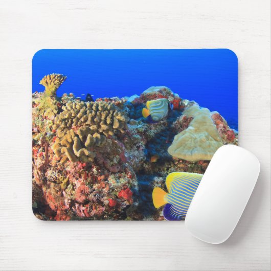 Regal Angelfish Pygoplites diacanthus), Mousepad (Mit Mouse)
