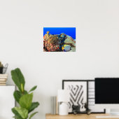 Regal Angelfish Pygoplites diacanthus), Poster (Heimbüro)