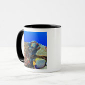 Regal Angelfish Pygoplites diacanthus), Tasse (Vorderseite Links)