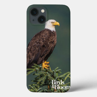Regal Bald Eagle Case-Mate iPhone Hülle