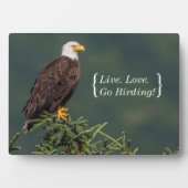 Regal Bald Eagle Fotoplatte (Vorderseite)