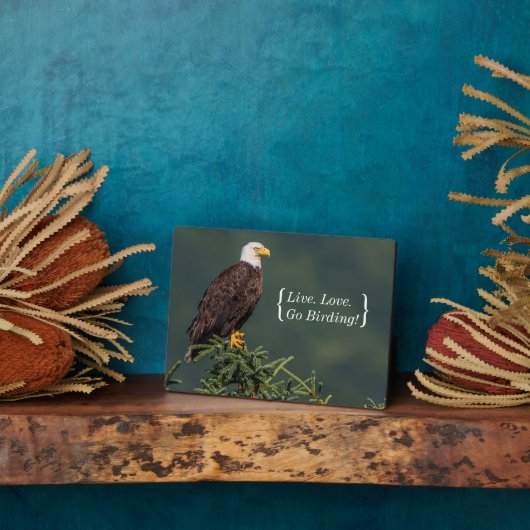 Regal Bald Eagle Fotoplatte (Seite)