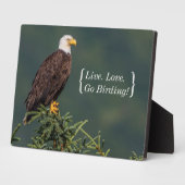 Regal Bald Eagle Fotoplatte (Seite)