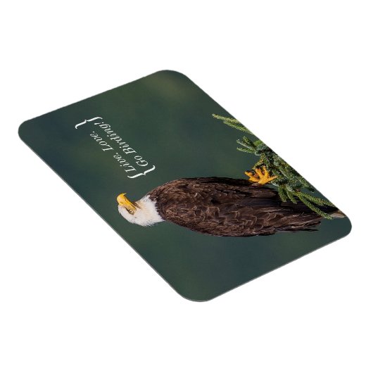 Regal Bald Eagle Magnet (Rechte Seite)