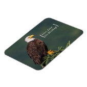 Regal Bald Eagle Magnet (Linke Seite)