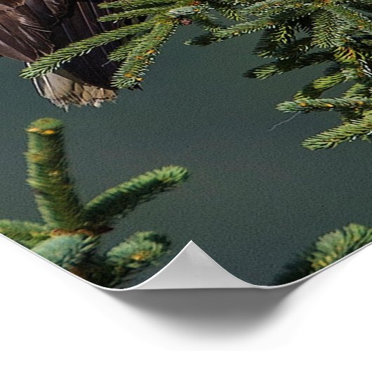 Regal Bald Eagle Poster (Ecke)