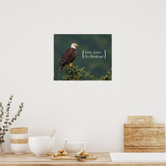 Regal Bald Eagle Poster (Küche)
