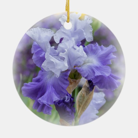 Regal Bearded Iris - Lila & weiß Keramik Ornament (Hinten)