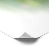 Regal Bearded Iris - Lila & weiß Poster (Ecke)