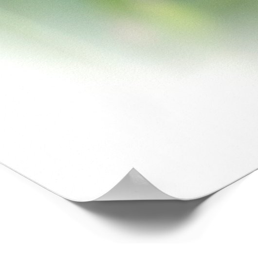 Regal Bearded Iris - Lila & weiß Poster (Ecke)