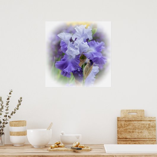 Regal Bearded Iris - Lila & weiß Poster (Küche)