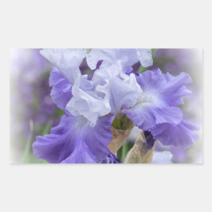 Regal Bearded Iris - Lila & weiß Rechteckiger Aufkleber
