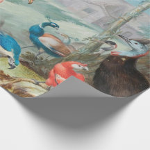 Regal Bird Landschaft