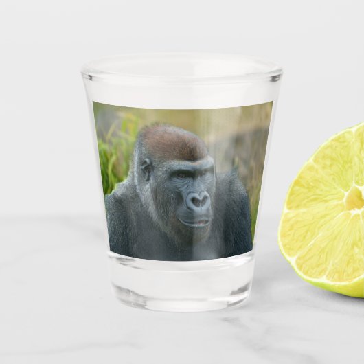 Regal Blackback Gorilla Schnapsglas (Vorderseite)