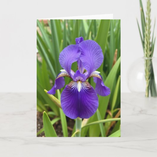 Regal Bloom Muttertagskarte Karte (Vorderseite)