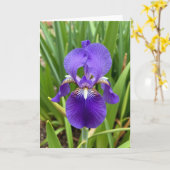 Regal Bloom Muttertagskarte Karte (Gelbe Blume)