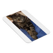 Regal Dave 3"x4" Foto Magnet (Rechte Seite)