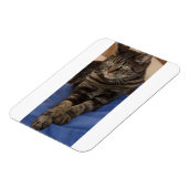 Regal Dave 3"x4" Foto Magnet (Linke Seite)
