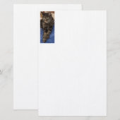 Regal Dave 5,5" x 8,5" Stationery Briefpapier (Vorne/Hinten)