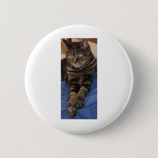 Regal Dave Abzeichen Button (Vorderseite)