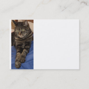 Regal Dave Chubby Business Card Visitenkarte