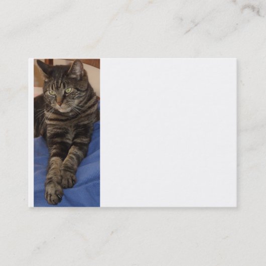 Regal Dave Chubby Business Card Visitenkarte (Vorderseite)