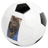 Regal Dave Football Fußball (Dreiviertel)