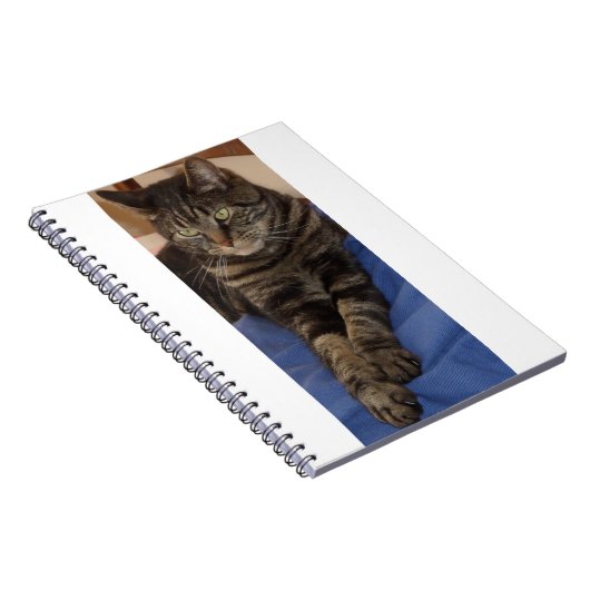 Regal Dave Foto Notebook (80 Seiten) Notizblock (Rechte Seite)