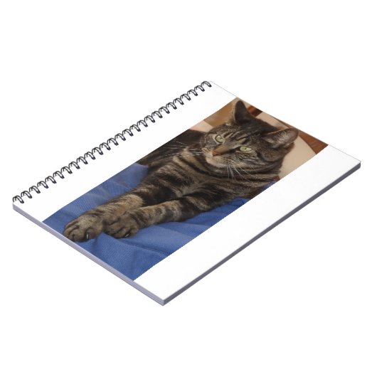 Regal Dave Foto Notebook (80 Seiten) Notizblock (Linke Seite)